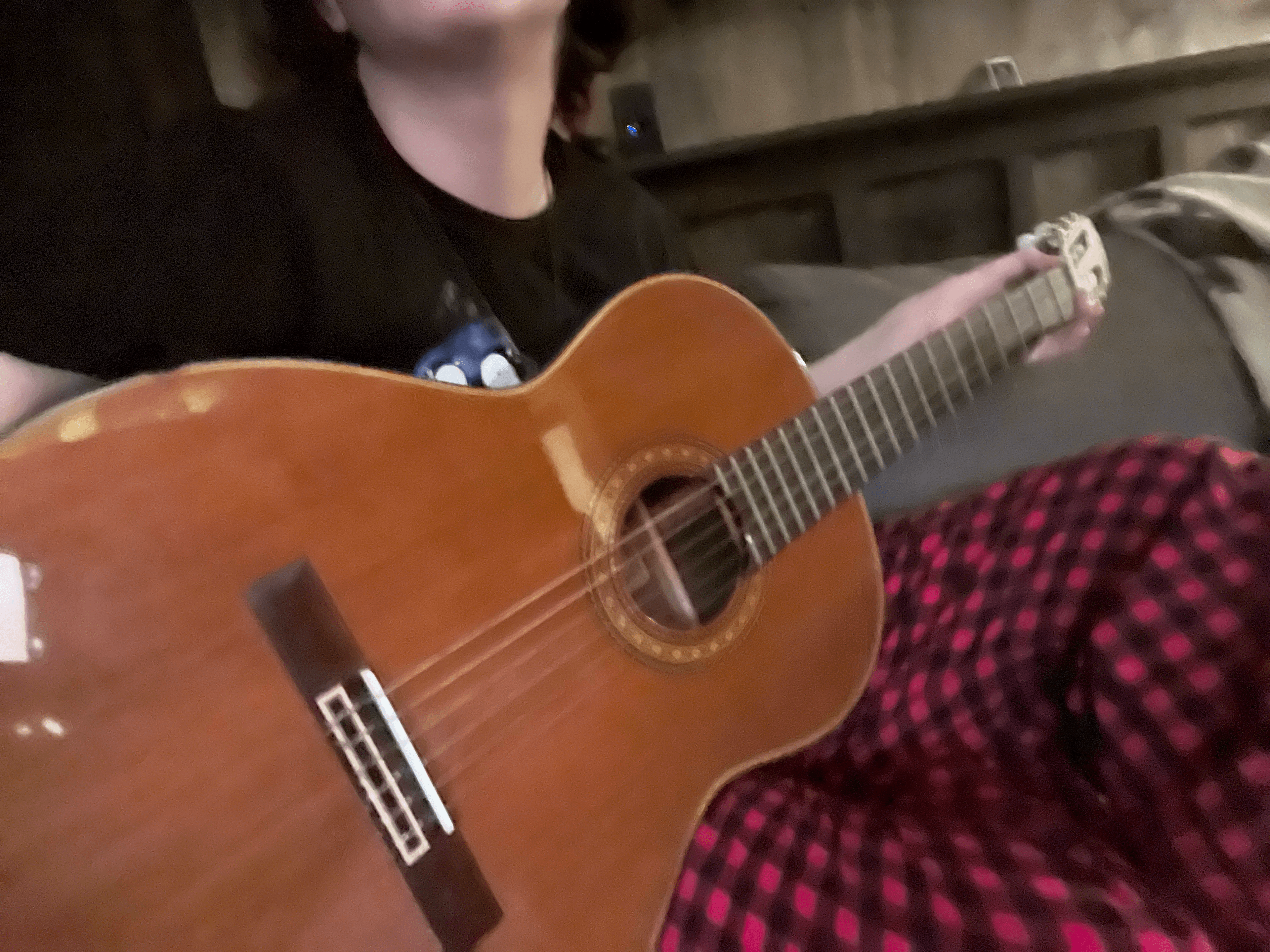 He/him - calm-plays the lute