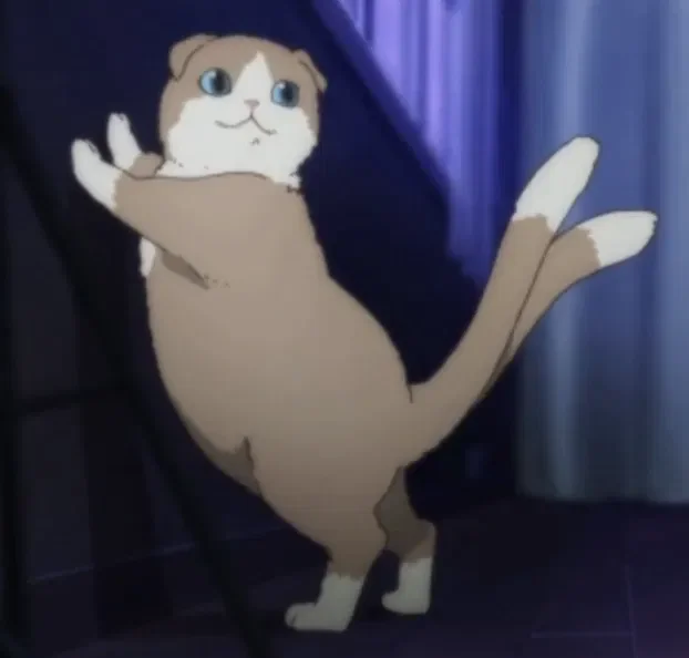 🕛Touhou legend: juka a cat into a new world part 1🕛