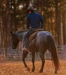 Country Life