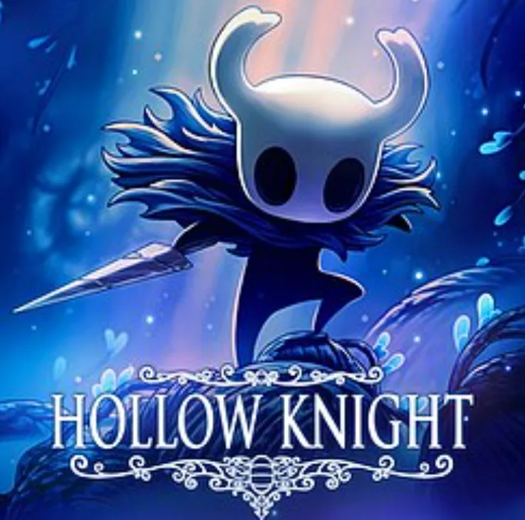 Hollow knight RPG