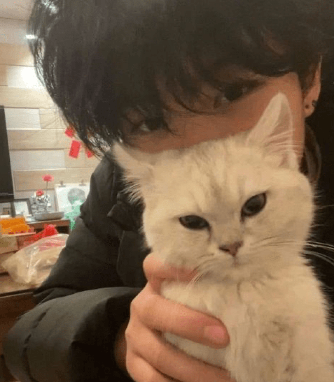 BL - Human cat boy..?