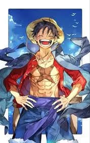 One Piece Roleplay