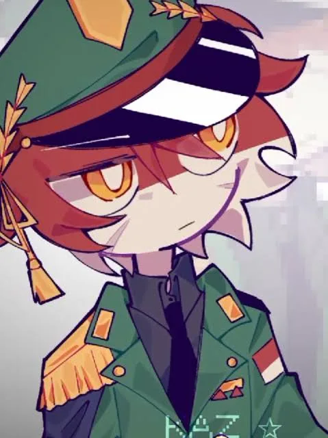 Countryhumans TNI