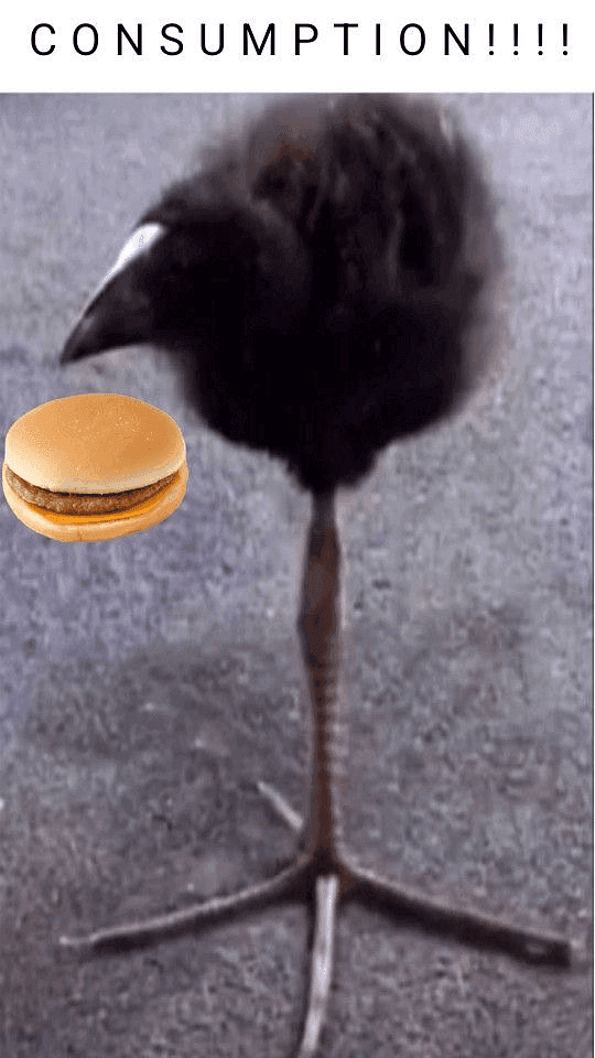 Aaa