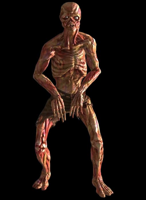 Feral Ghoul