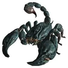 Radscorpions